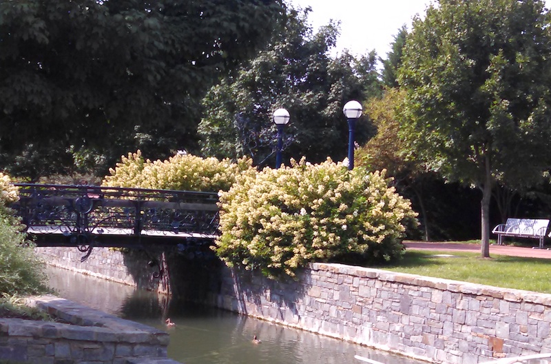 Carroll-Creek-Bridge-2
