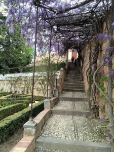 generalize alhambra upper garden wisteria