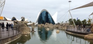 l'oceanografic aquarium Valencia Spain