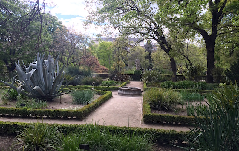 botanical gardens madrid