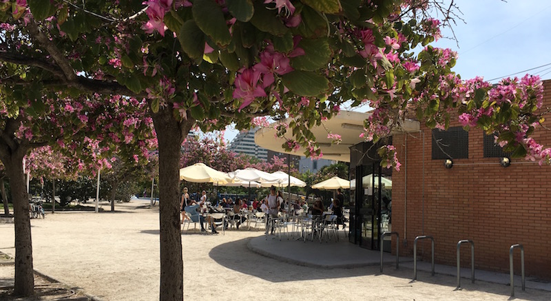 Gulliver Cafeteria Turia Gardens Valencia
