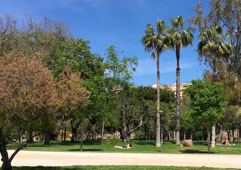 Jardines-Turia-Sun-Lounging
