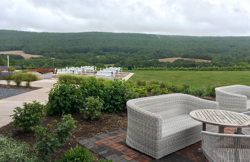 Big-Cork-Vineyards-landscape