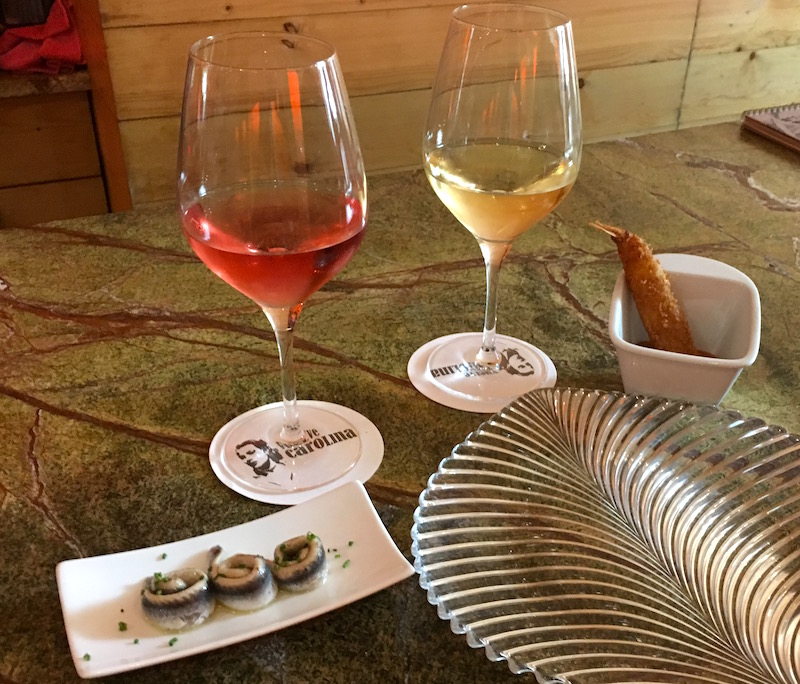 Wine and Tapas Vuelve Carolina Valenica Spain