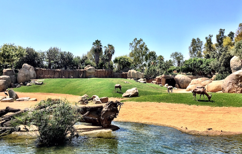 Bioparc Valencia African Savannah