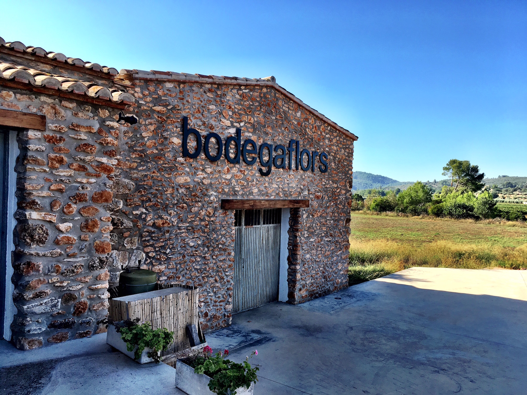 Bodega Flors Castellon Spain Winery