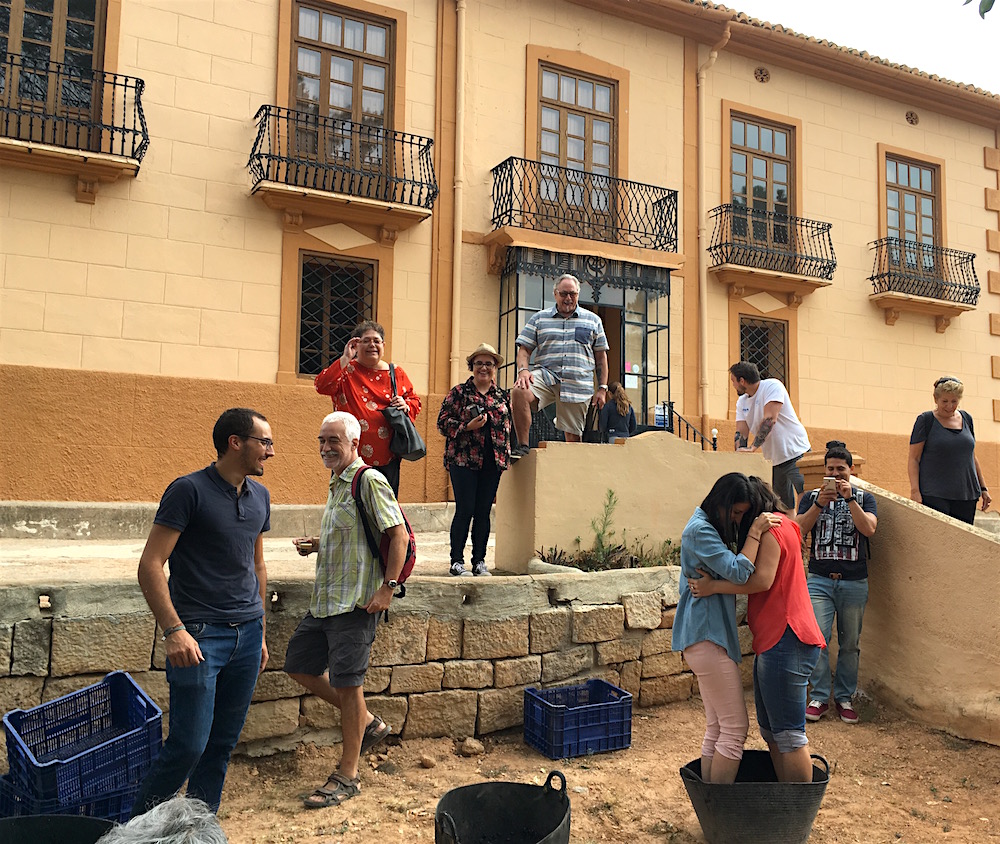 Grape-stomping-at-bodega