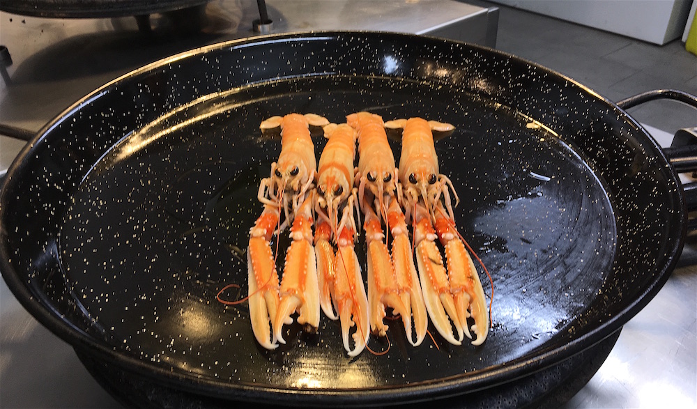 Paella school langostinos