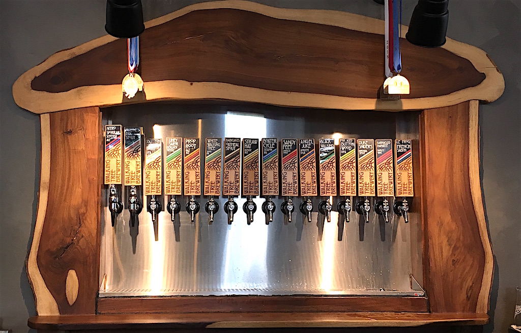 Walking Tree Craft Brewery Taps Vero Florida