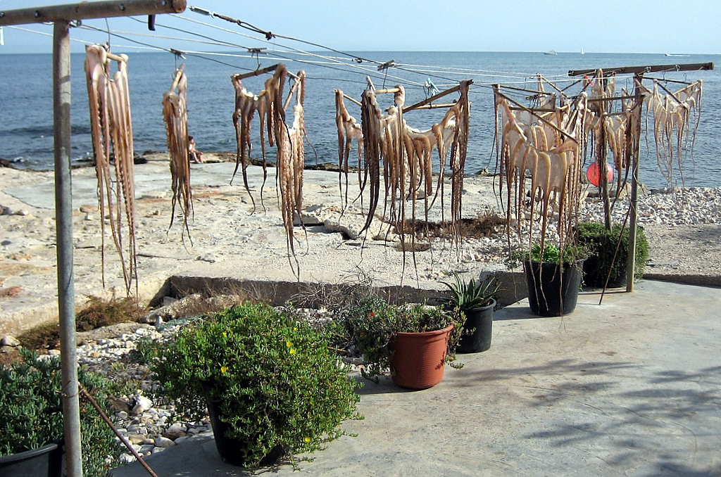 Drying Octopus Esteban Chiner