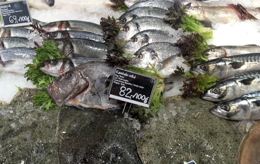 fresh fish blue fjord prague