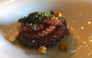 octopus san miguel allende mexico restaurants