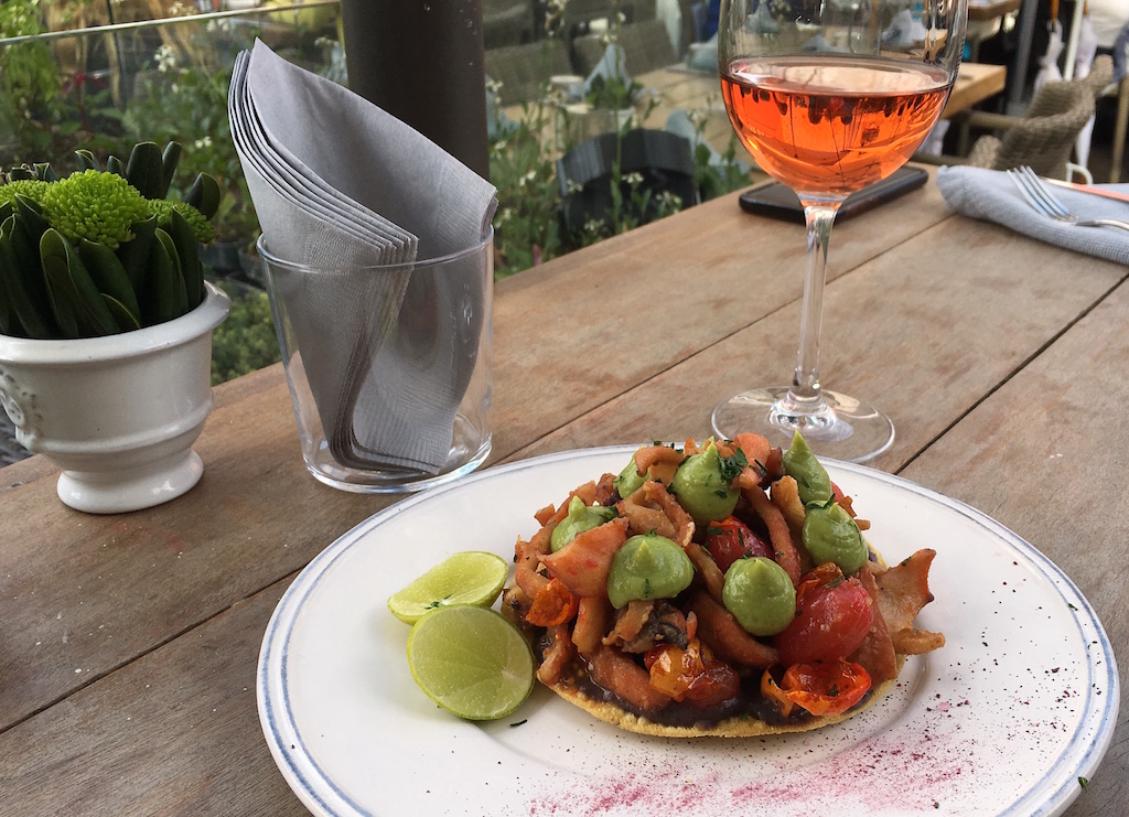 grilled octopus tostada quince rooftop SMA mexico