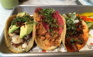 taco lab san miguel allende mexico