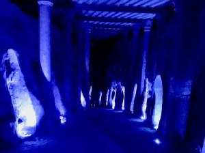 Viñedo Toyan wine cave