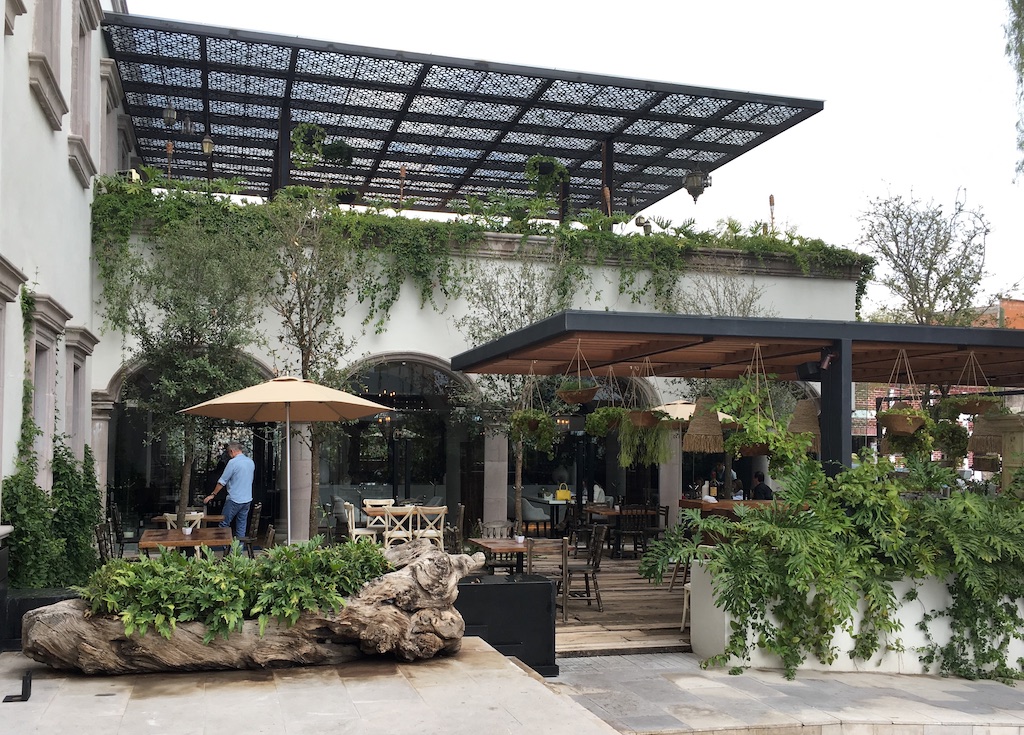 zibu allende live aqua urban resort