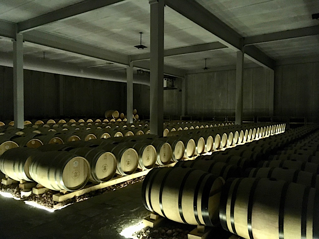 Tres Raices winery barrel room