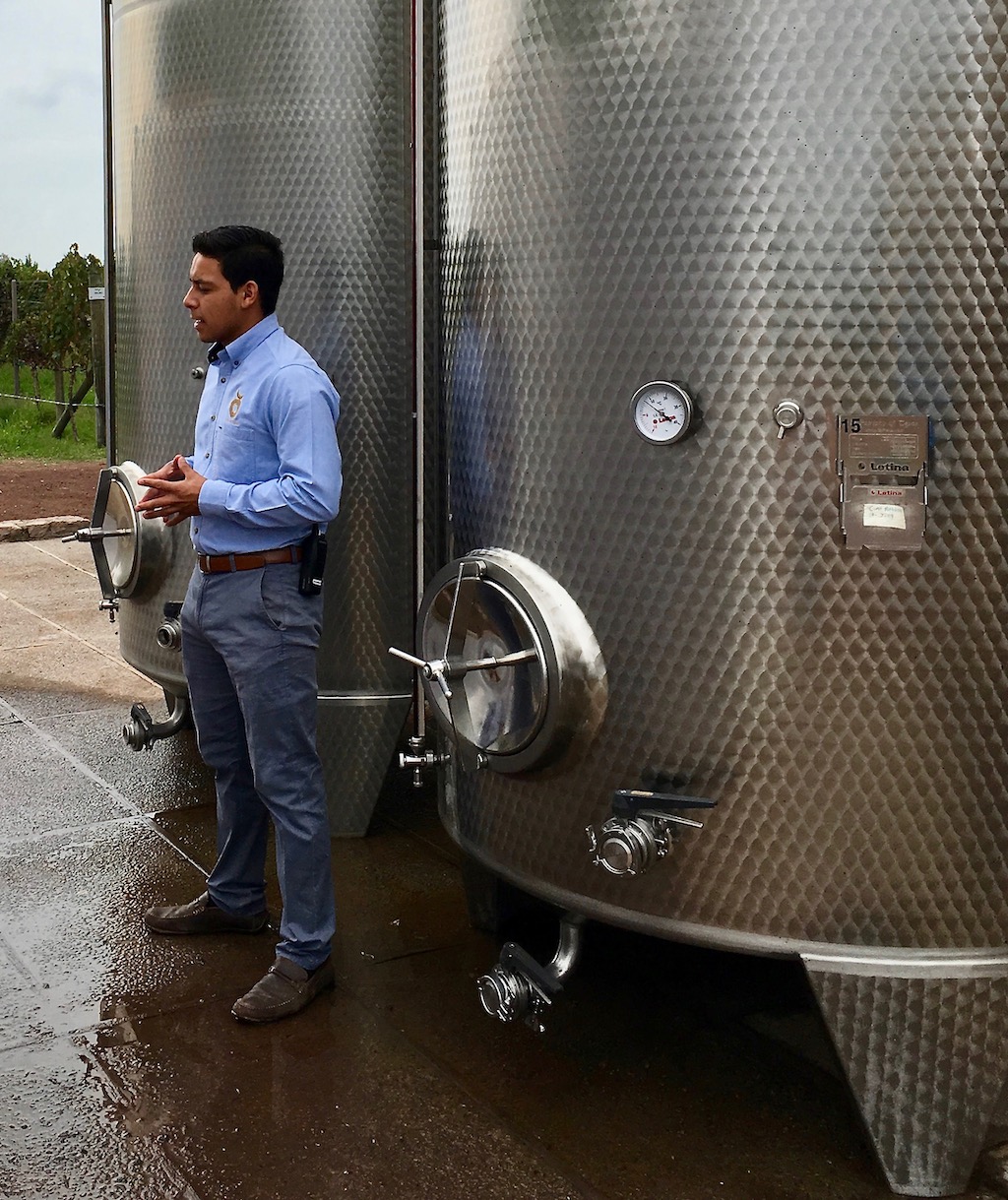 cuna de tierra winery tour