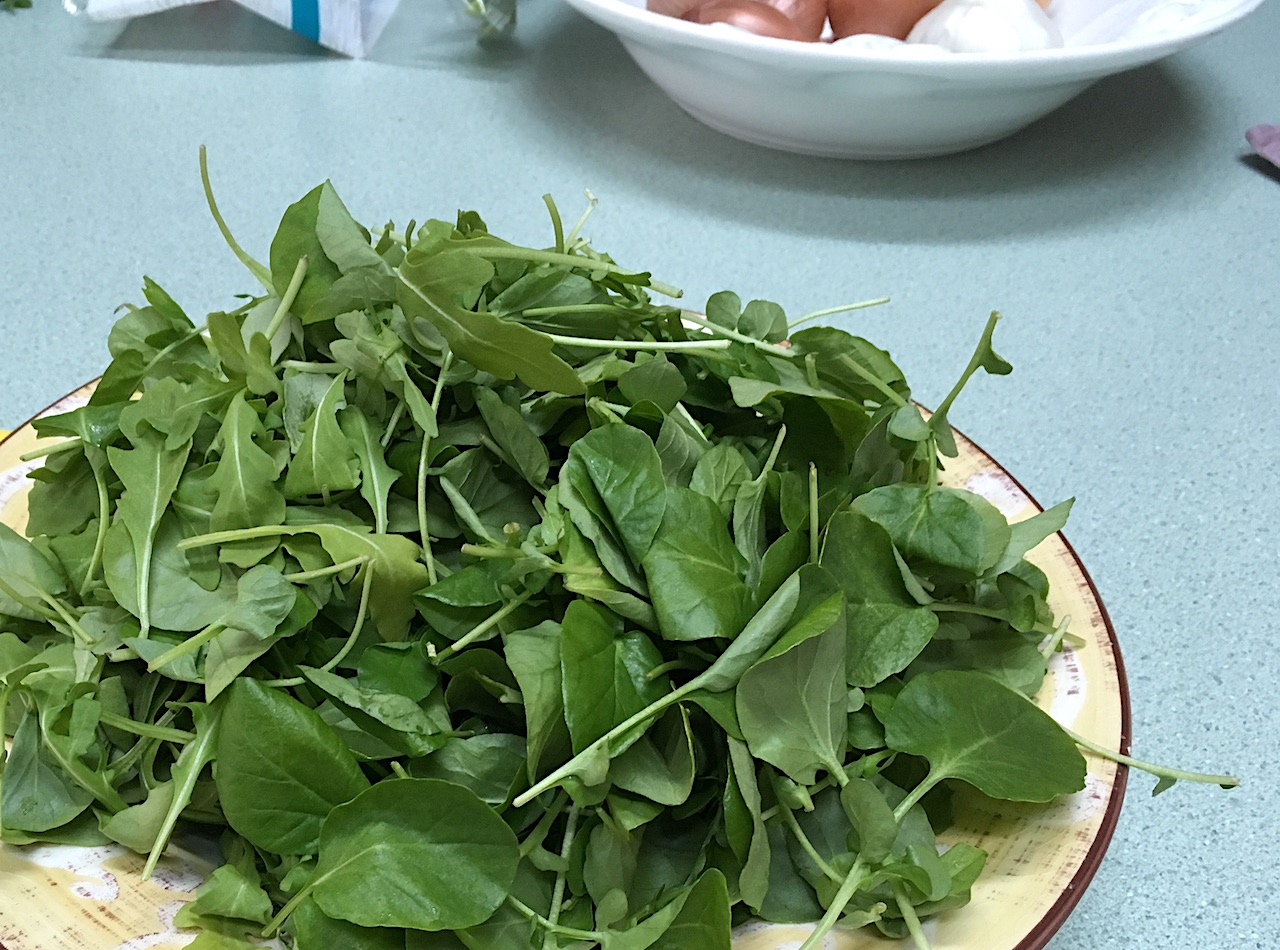 Arugula and watercress greens