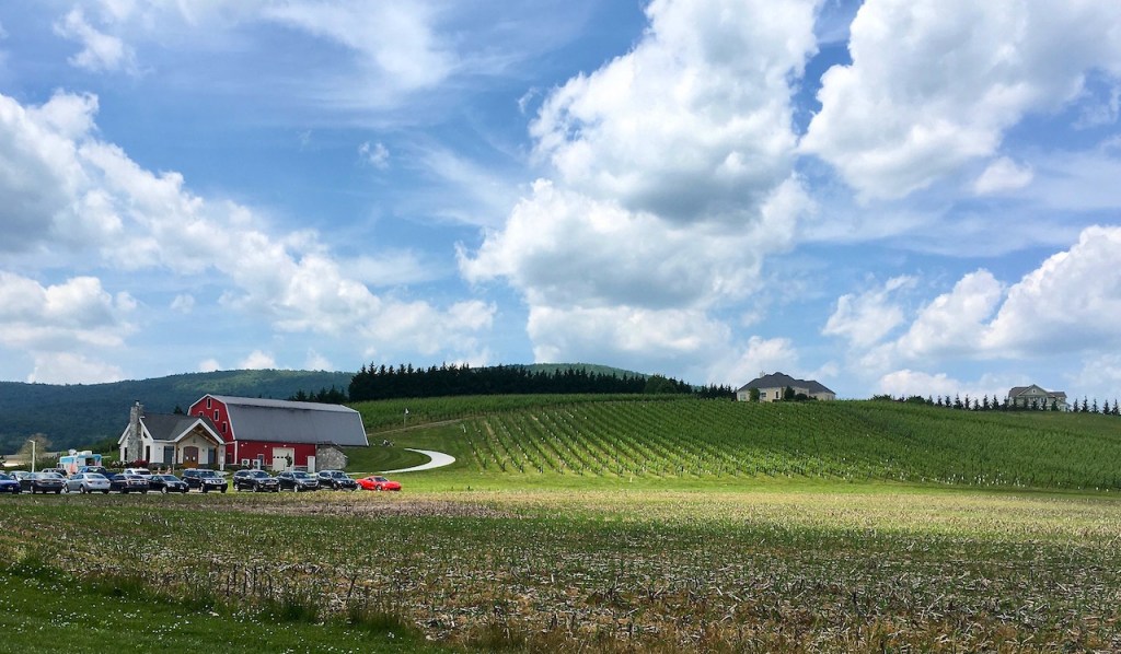 Wine-ing about Frederick&nbsp;Maryland